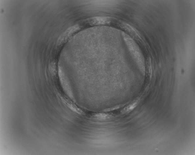 X0000076080326200610152259