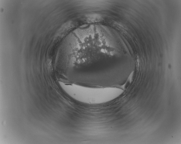 X0000076080327200610152259