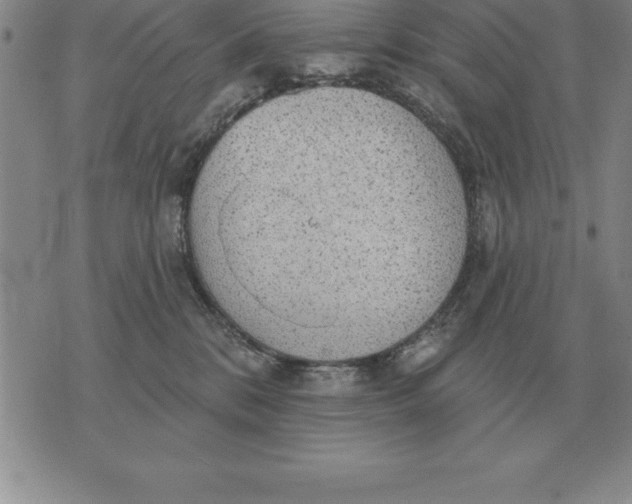 X0000076080328200610152259