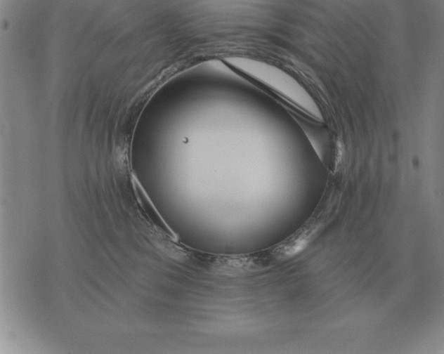 X0000076080329200610152259