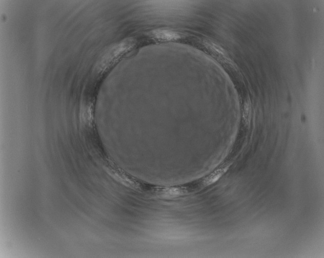 X0000076080330200610152259