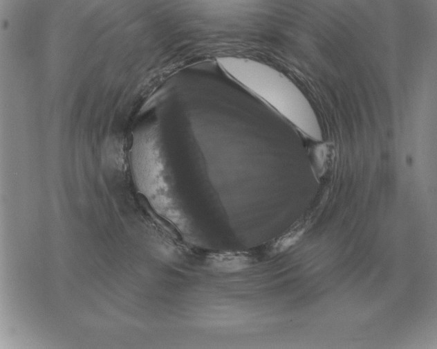 X0000076080331200610152259