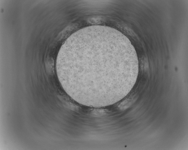 X0000076080332200610152259