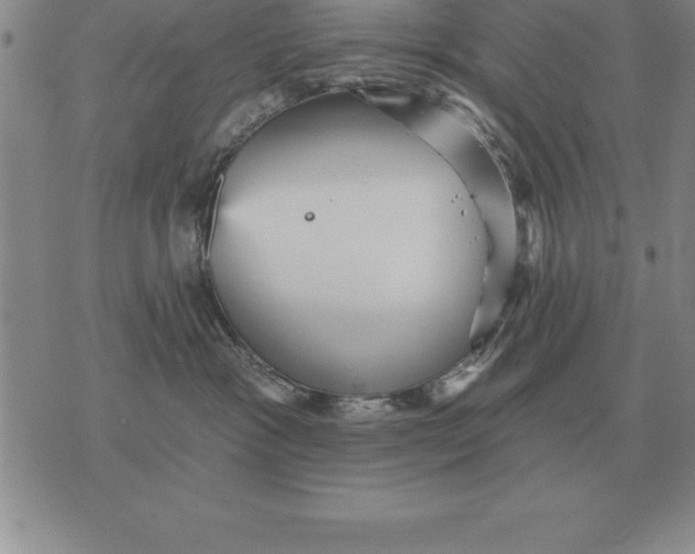 X0000076080333200610152259