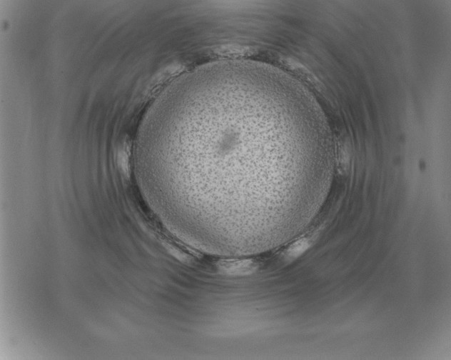 X0000076080334200610152259