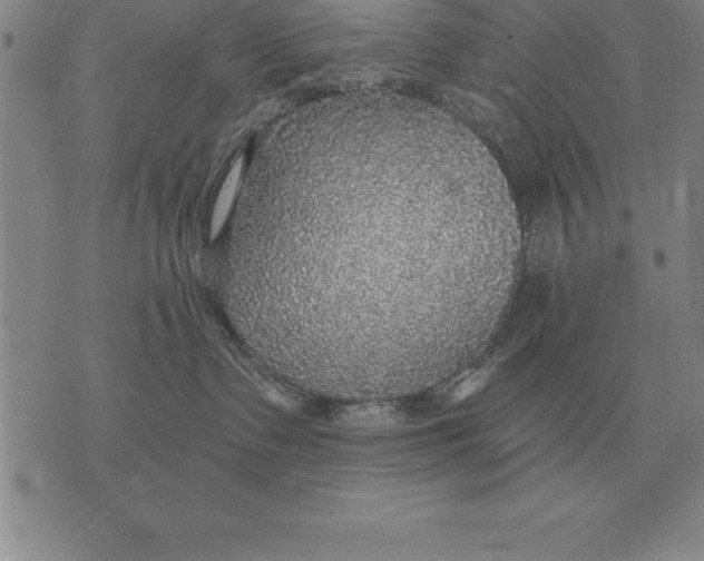 X0000076080335200610152259