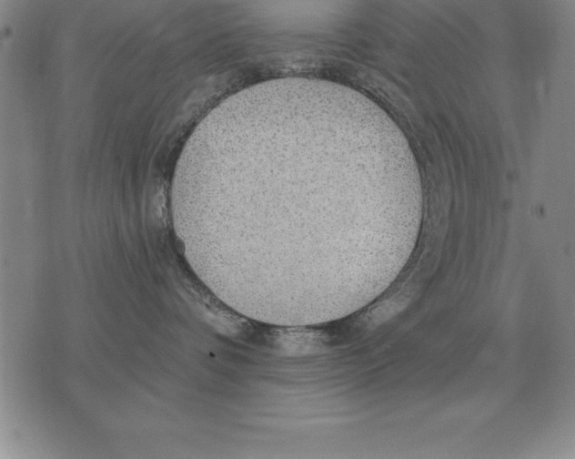 X0000076080336200610152259