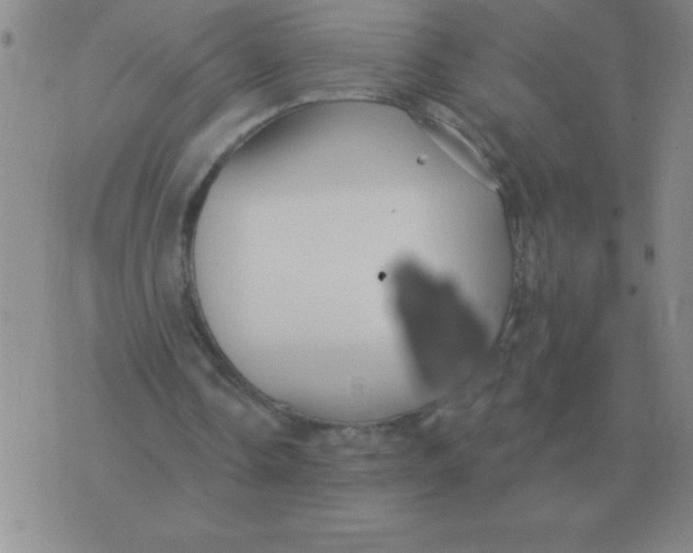 X0000076080338200610152258