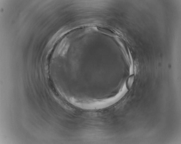 X0000076080339200610152258