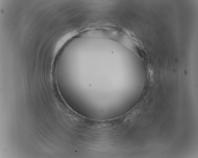 X0000076080340200610152258