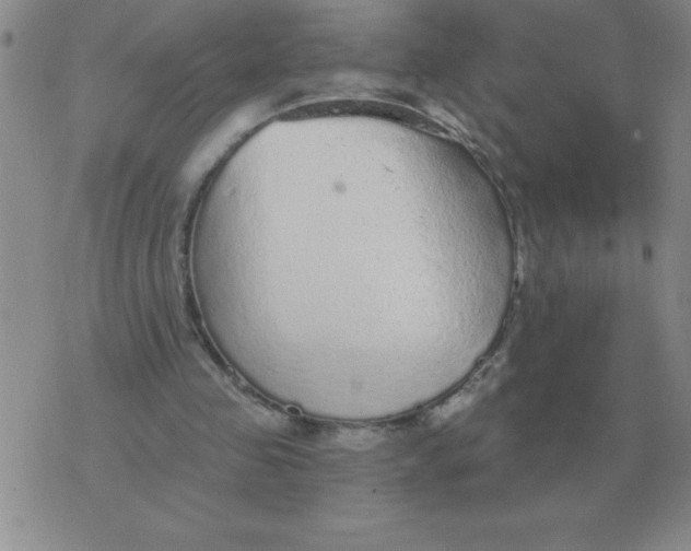 X0000076080341200610152258