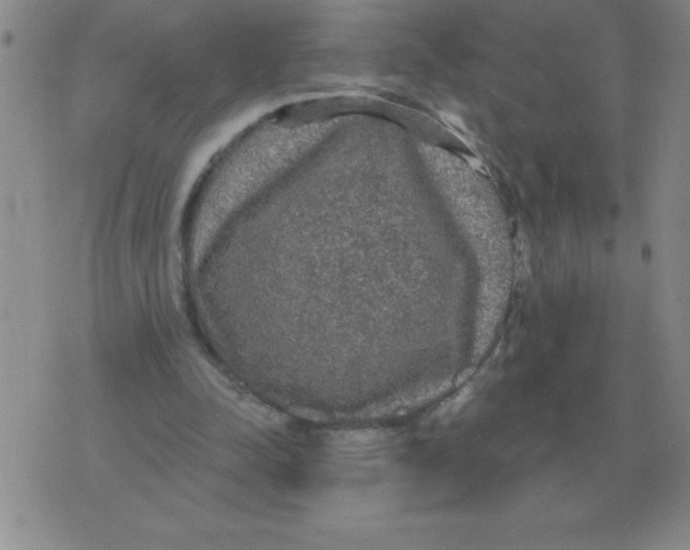 X0000076080342200610152258