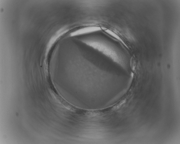 X0000076080343200610152258