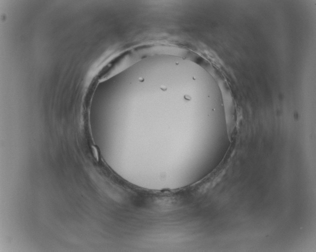 X0000076080344200610152258