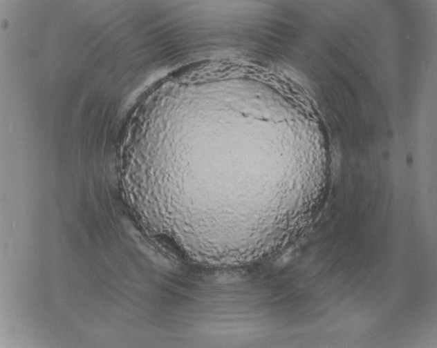 X0000076080345200610152258