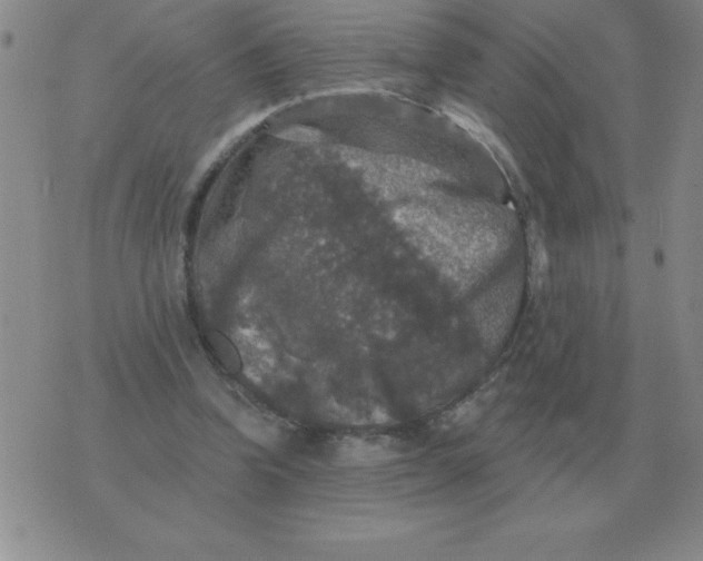 X0000076080346200610152258