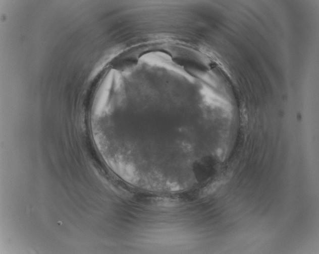 X0000076080347200610152258