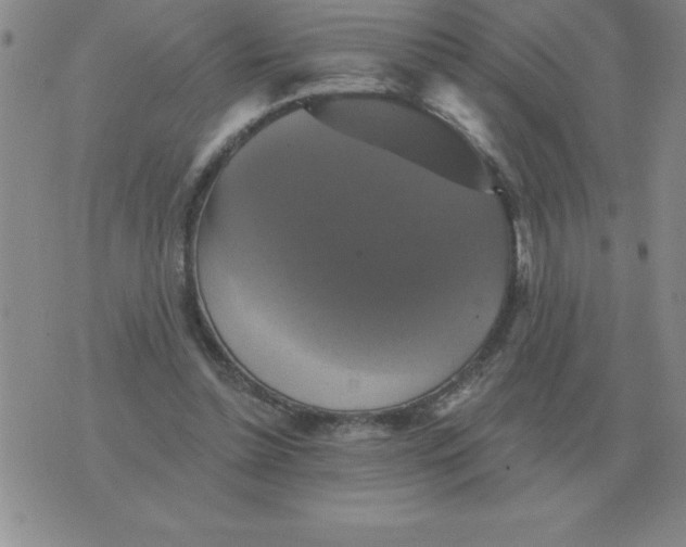 X0000076080348200610152258