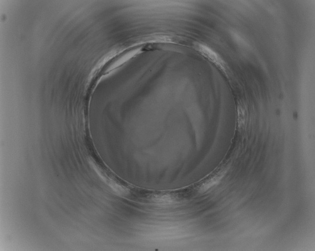 X0000076080349200610152258