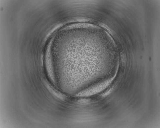 X0000076080350200610152258