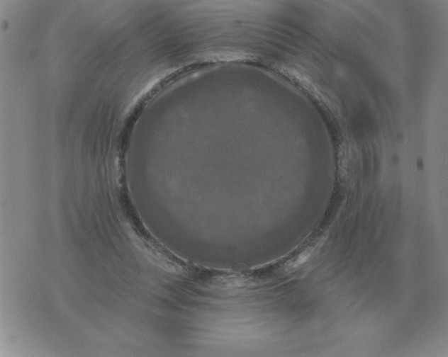 X0000076080351200610152258