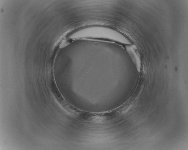 X0000076080352200610152258