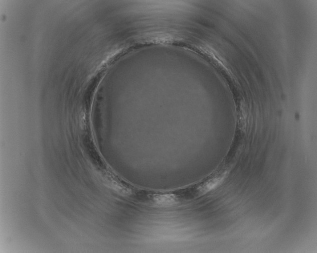 X0000076080355200610152258