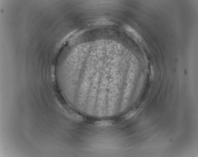 X0000076080356200610152258