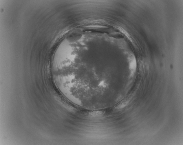 X0000076080357200610152258