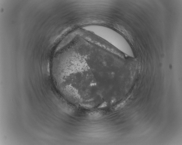 X0000076080358200610152258