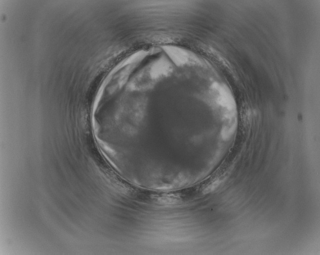 X0000076080359200610152258