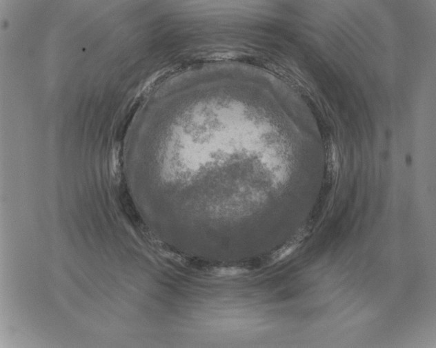 X0000076080360200610152258