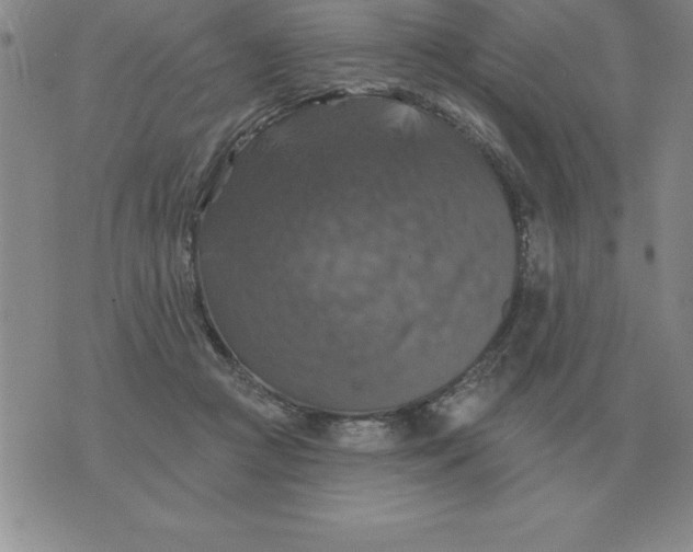 X0000076080361200610152258