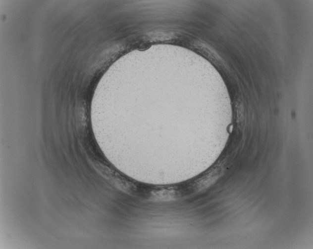 X0000076080362200610152258