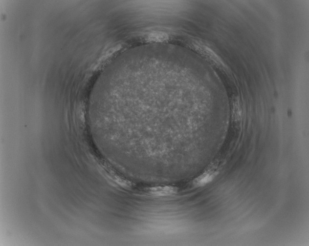 X0000076080363200610152258