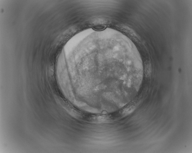 X0000076080365200610152258