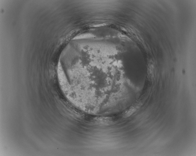 X0000076080367200610152259