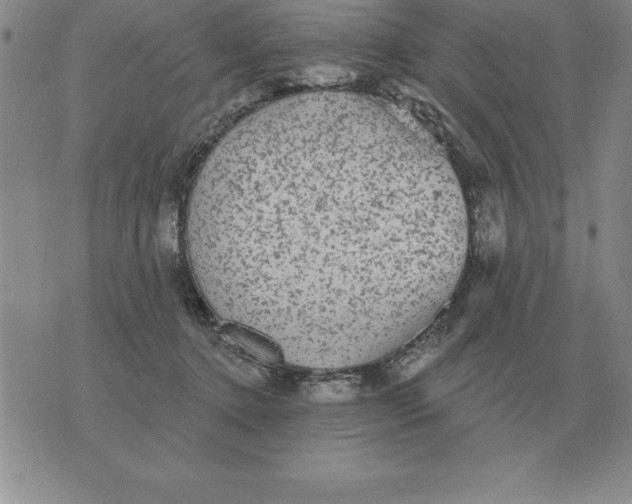 X0000076080368200610152259