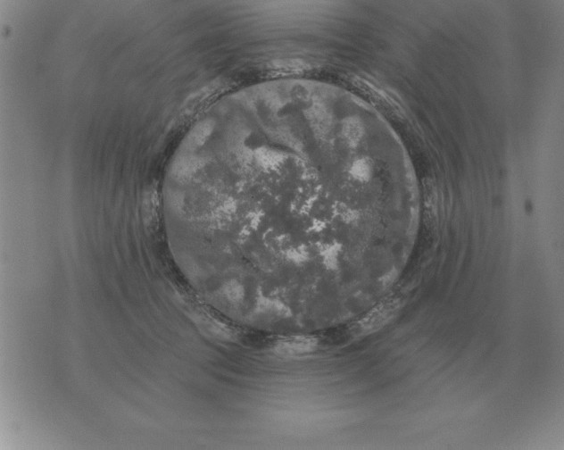 X0000076080369200610152259