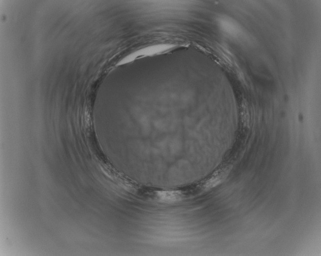 X0000076080371200610152259