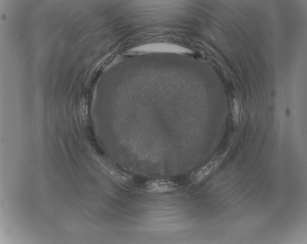 X0000076080372200610152259