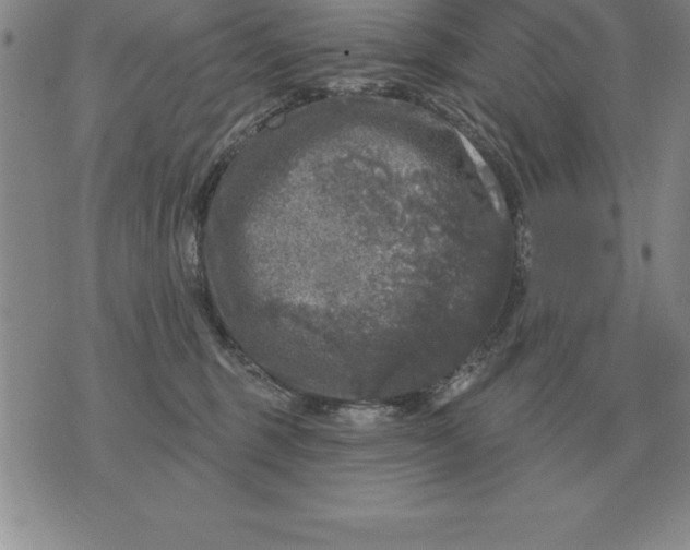 X0000076080375200610152259