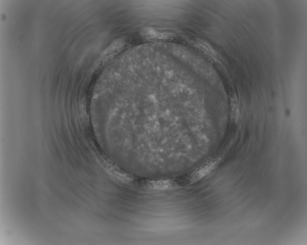 X0000076080377200610152259