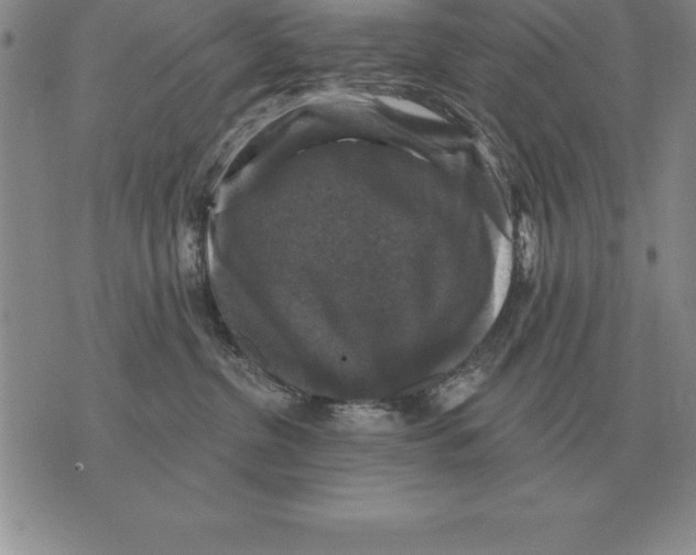 X0000076080380200610152259