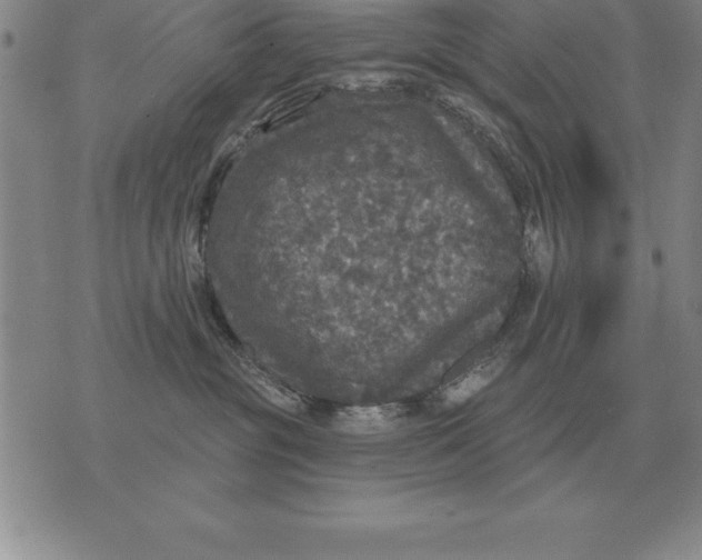 X0000076080381200610152259