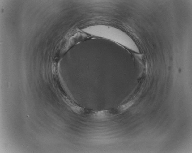 X0000076080382200610152259