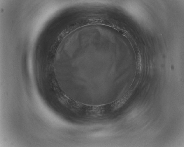 X0000076080383200610152259