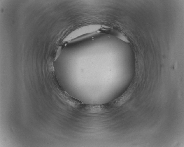 X0000076080384200610152259