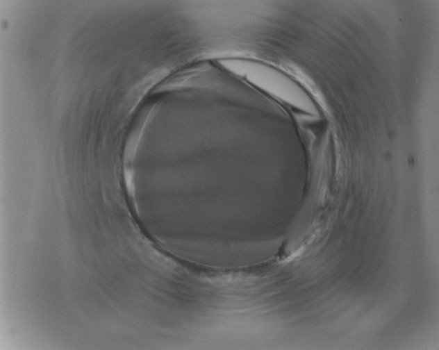 X0000076080385200610152258