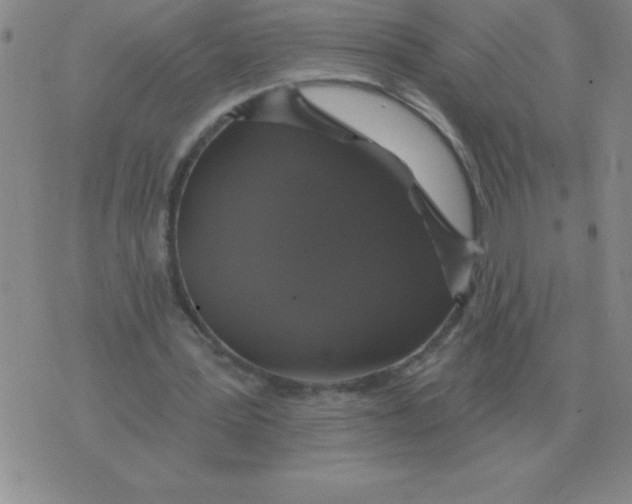 X0000076080387200610152258